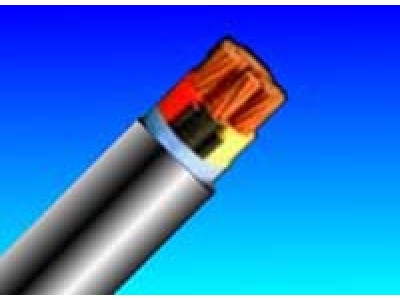 額定電壓0.6/1kV聚氯乙烯絕緣聚氯乙烯護套電力電纜